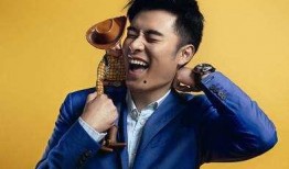 陈赫好兄弟爆料视频,独家爆料视频背后的故事